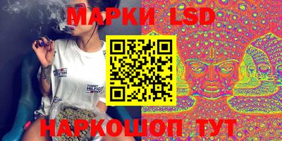 крисы Моздок