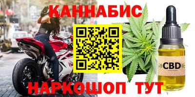 крисы Моздок