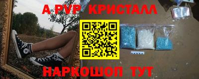 крисы Моздок