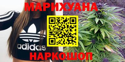 крисы Моздок
